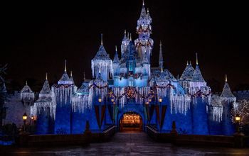 Sleeping Beauty's Winter Castle.