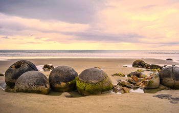 Moeraki Beach, New Zealand