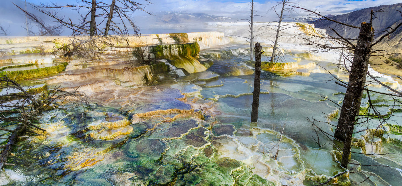 Image: Mammoth Hot Springs, Yellowstone National Park, Wyoming. (photo via Don White/E+)