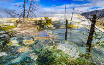 Mammoth Hot Springs, Yellowstone National Park, Wyoming