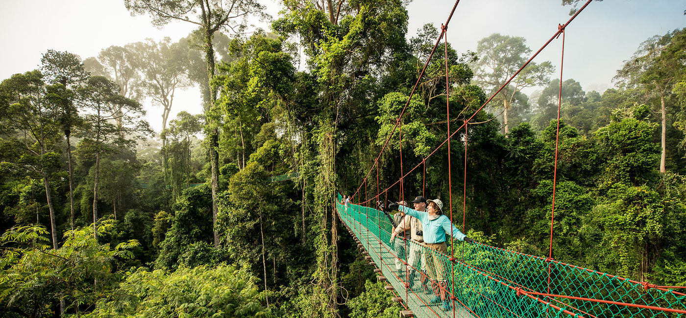Image: PHOTO: Orangutan Outdoor Forest Center, Malaysia (photo courtesy A&K) (A&K)
