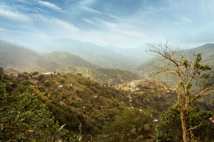 The Blue Mountains in Jamaica are of both historical and natural importance. Blue Mountains, Jamaica, Jamaica maroons, unesco world heritage sites in the caribbean