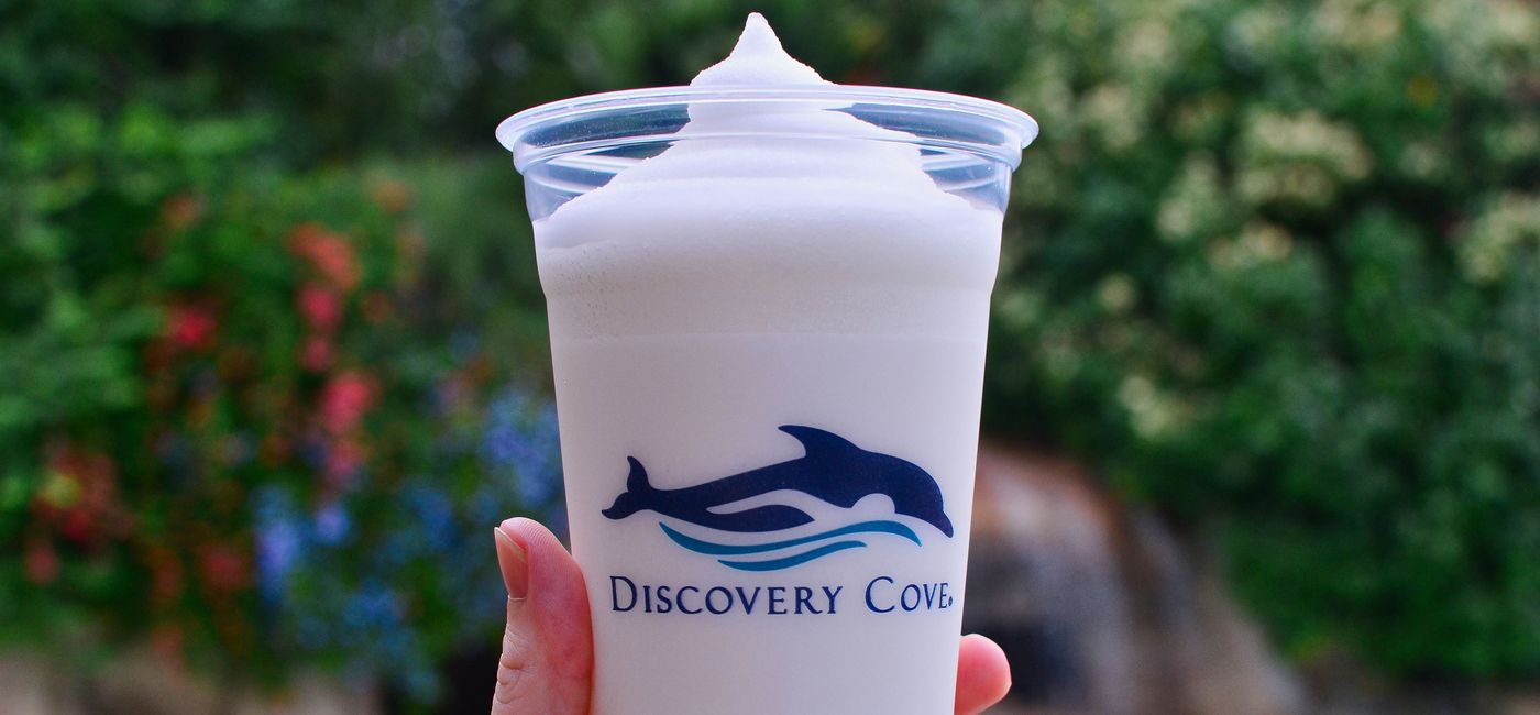 Image: PHOTO: Discovery Cove Slushie - all-inclusive resort includes food! (Photo by Emily Krause)