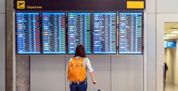 Passenger checking the flight schedule
