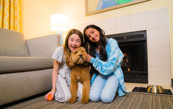 Dog Friendly Hotel