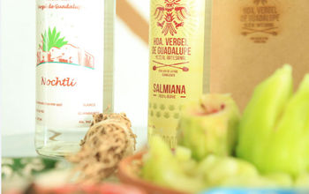 Mezcal is produced in several Mexican states, but Oaxaca is the most emblematic route to enjoy it. (Photo via Guanajuato Ministry of Tourism).