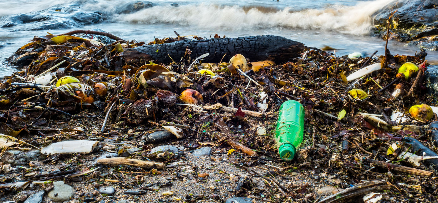 Image: Seaweed and plastic waste washed up on the shore. (Source: Nigel_Wallace / iStock / Getty Images Plus)