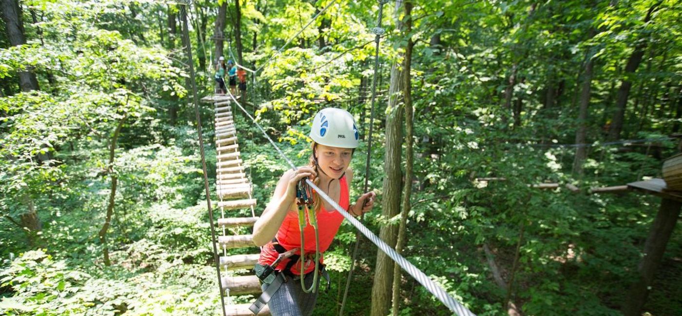 Image: Jungle Island's Aerial Game Trek Experience. Photo courtesy of Jungle Island (Jungle Island)