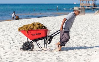 Sargassum Removal in Riviera Maya, Mexico