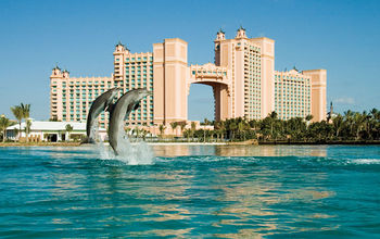 ATLANTIS_Dolphin-Cay_1180_high.png