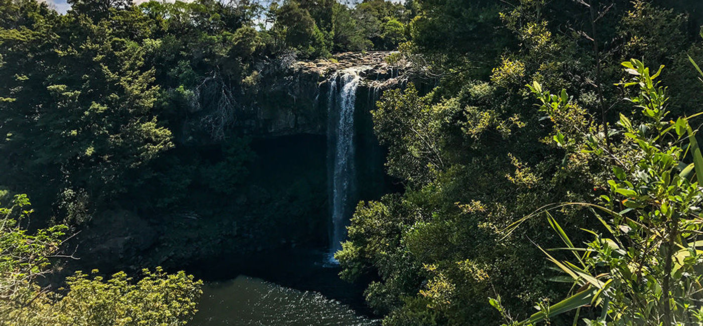 Image: PHOTO: Rainbow Falls, Kerikeri, New Zealand (photo by Janeen Christoff)