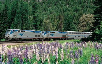An Amtrak long-distance train travels through the lush forests and wildflower meadows of the Pacific Northwest.