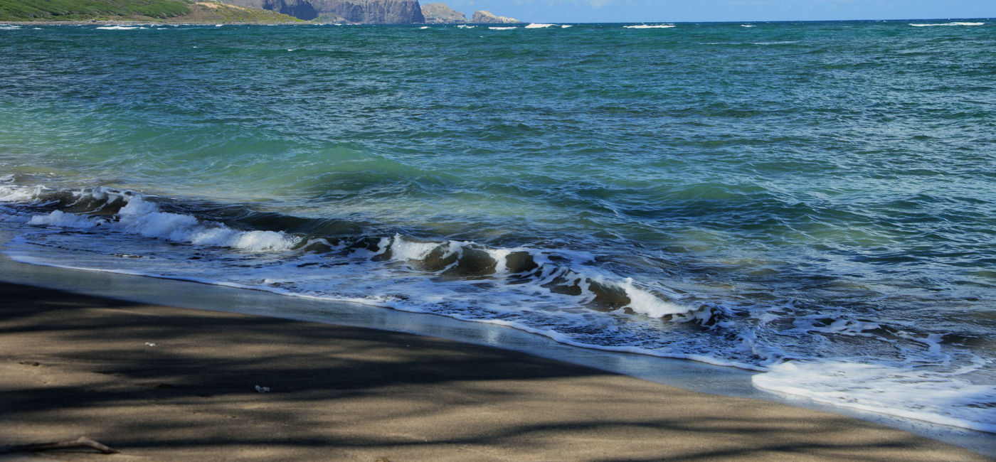 Image: PHOTO: Beach vacations have actually gone down over the last decade according to Google research data.  (Photo via wpd911 / iStock / Getty Images Plus)