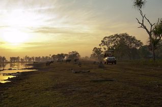 Natural Habitat Adventures Announces New  Safaris in Australia
