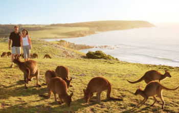 Tourism Australia