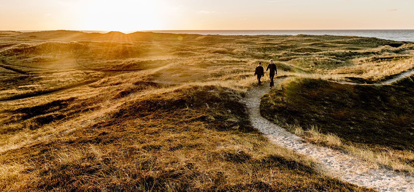 Image: Thy National Park (Photo Credit: The Nordics)