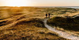 Thy National Park