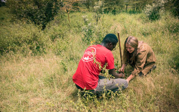 Intrepid Travel Plants Trees in Kenya