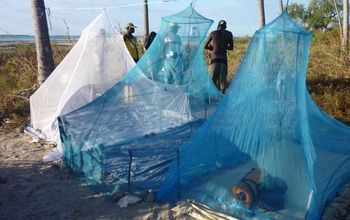 Chik V mosquito nets