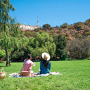 Picnic at Lake Hollywood Park