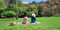 Picnic at Lake Hollywood Park