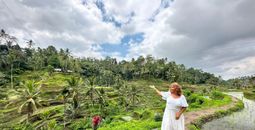 Rice field in Bali.