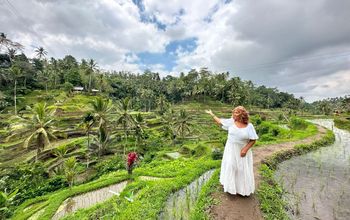 Rice field in Bali.