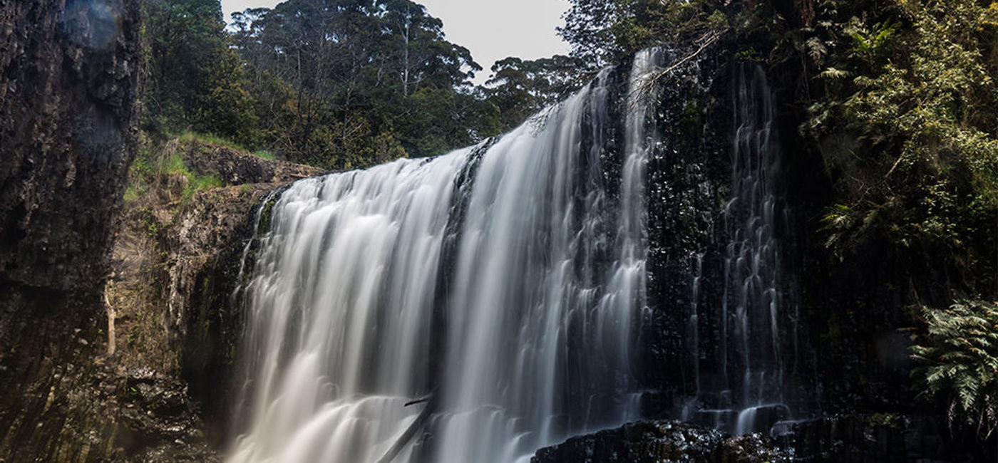 Image: PHOTO: Tasmania is known for its accessible outdoor spaces such as Guide Falls. (Photo via Flickr/Steven Penton)