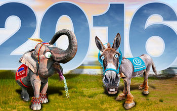 Flickr_Election