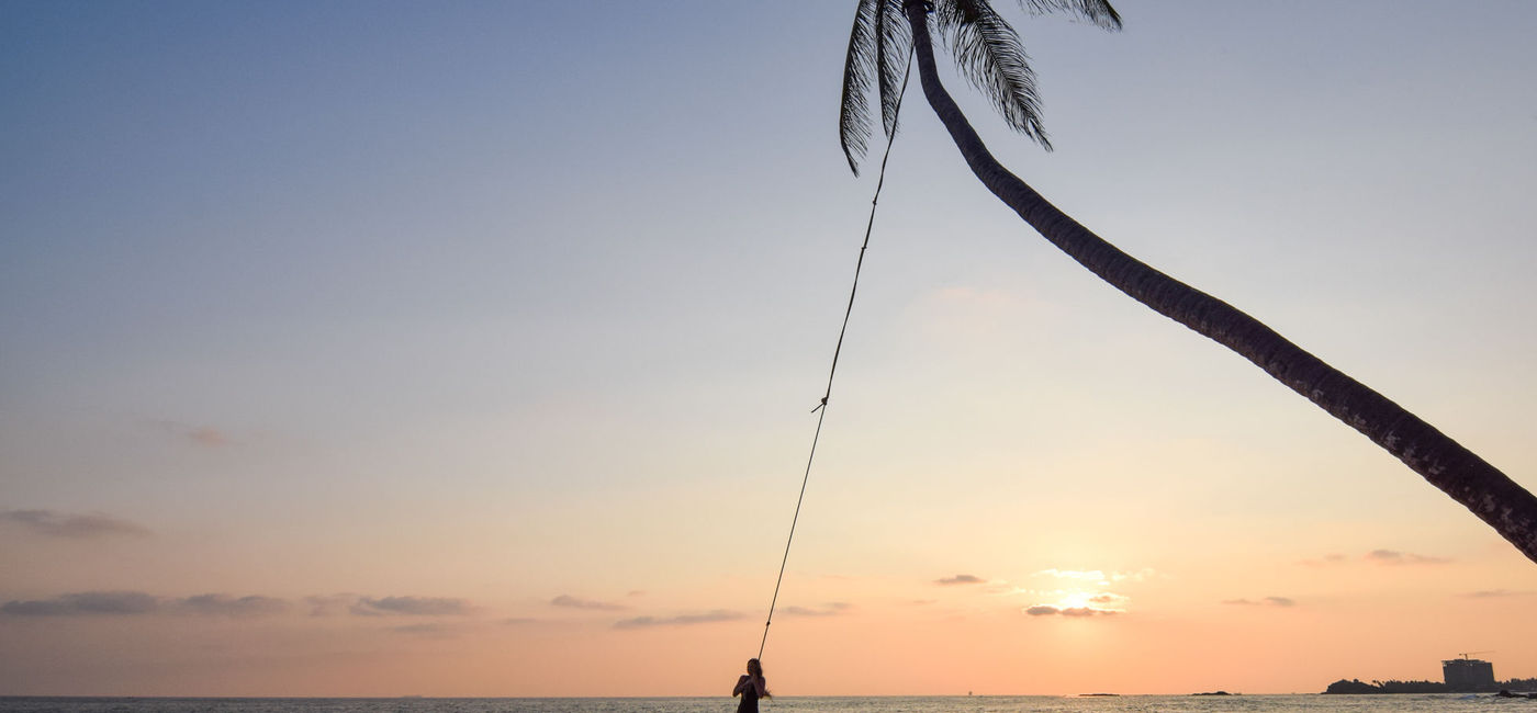 Photo: Beach Palm Swing, Sri Lanka. (Photo by Lauren Breedlove)