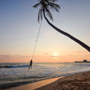 Beach Palm Swing, Sri Lanka