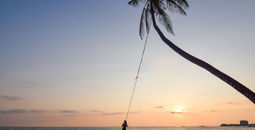 Beach Palm Swing, Sri Lanka