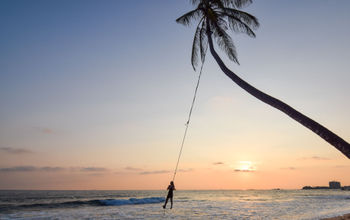 Beach Palm Swing, Sri Lanka