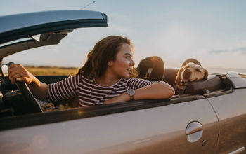 Young woman traveling by car with her dog.