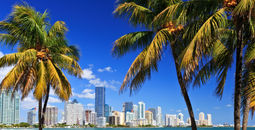 Skyline in Miami, Florida.