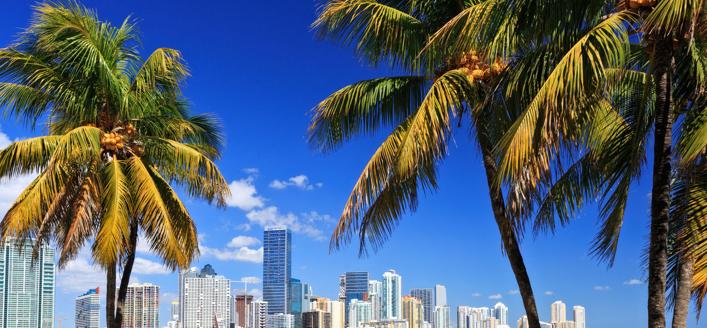 Image: PHOTO: Skyline in Miami, Florida. (Photo via iStock/Getty Images Plus/espiegle)