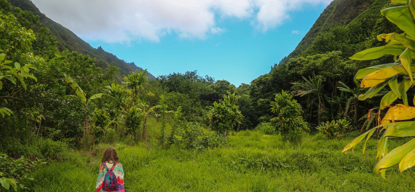 Image: PHOTO: HIking through Maui, Hawaii. (Photo via Unsplash / Strauss Western)
