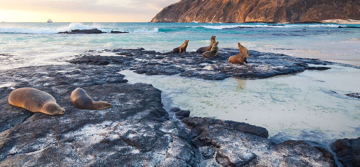 Image: Tourists who visit Ecuador are looking for adventure tourism, the Amazon and the Galapagos, the jewel in the crown. ((photo via Ecuador Tourism Board))