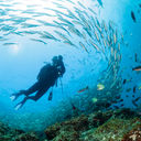 Ecuador, diver, diving, ocean, galapagos, galapagos island