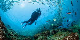 Ecuador, diver, diving, ocean, galapagos, galapagos island