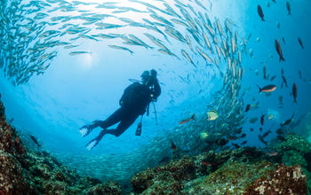 Ecuador, diver, diving, ocean, galapagos, galapagos island