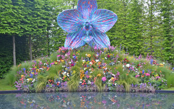 Chelsea Flower Show