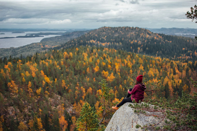 Autumn, fall, Koli National Park, Lake Pielinen, Finland, The Nordics, mountains, forests, leaves, seasons, colors