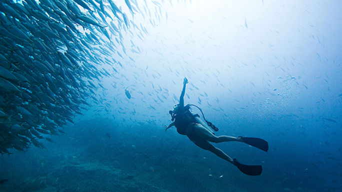Scuba diving in Los Cabos
