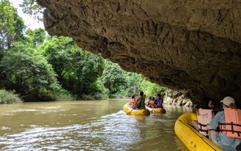 Sok River, Khao Sok, kayaking, thailand