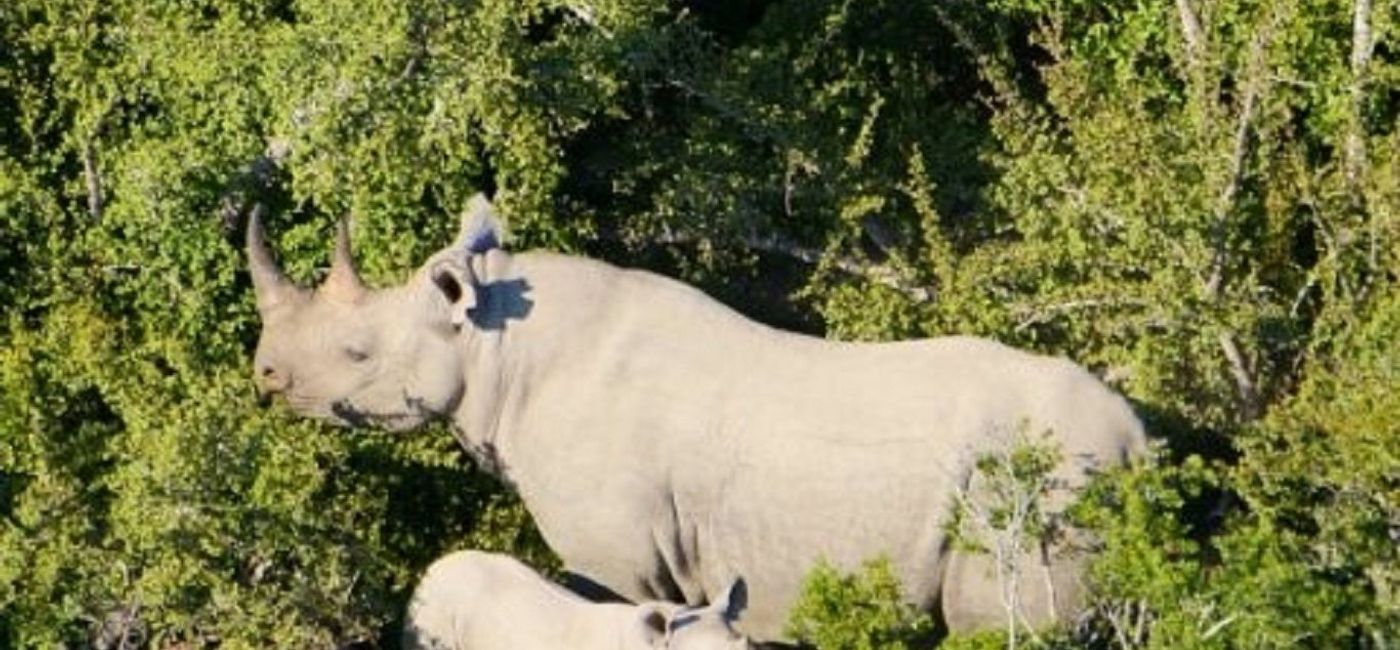 Image: Yima and her new son in South Africa. (photo via African Travel Inc.)