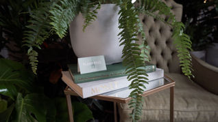 Kimpton Hotels, Plant Pals program