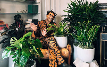 Plant Kween, Kimpton Hotels, Plant Pals
