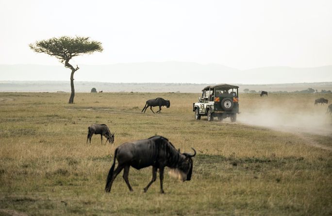 EF Go Ahead Tours' Kenya Safari itinerary is one of the new Solo-Only trips. solo trips, safaris, EF Go Ahead Tours, solo traveling, Kenya