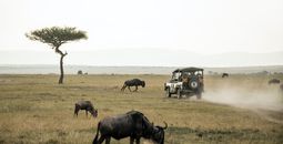 solo trips, safaris, EF Go Ahead Tours, solo traveling, Kenya